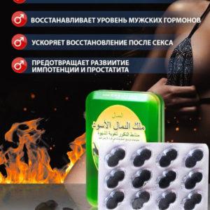 Черный сильный муравей